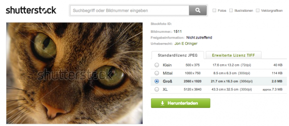 Jon Oringers Katze "Pixel"