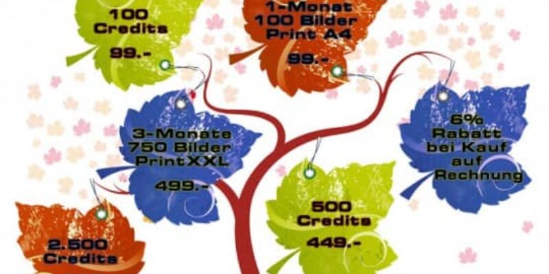 Die erste deutsche Microstock Bildagentur Panthermedia wird 6 Jahre alt
