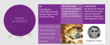 Shutterstock zahlt 60 Millionen Euro an Künstler aus