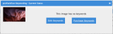 Fotos in Englisch verschlagworten lassen per PicWorkFlow