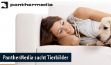 PantherMedia sucht Tierbilder für Fotowettbewerb „Mein Tier und ich“